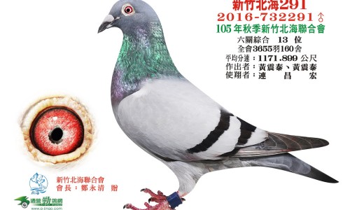 五子毛桃的功效和作用是什么-五子毛桃泡水喝有效果吗-五子毛桃功效与做法有两种颜色啊,中国五孑毛桃有什么功效网站