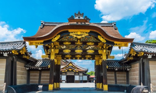 五子毛桃泡水喝有效果吗-五子毛桃功效与做法有两种颜色啊,中国五孑毛桃有什么功效网站